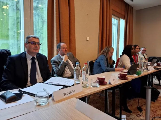 ZASADNUTIE PRACOVNEJ SKUPINY PRE RIADENIE ŠTANDARDIZÁCIE V NATO - STANDARDIZATION MANAGEMENT GROUP (SMG)